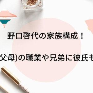 野口啓代の家族構成！両親(父母)の職業や兄弟に彼氏も調査！